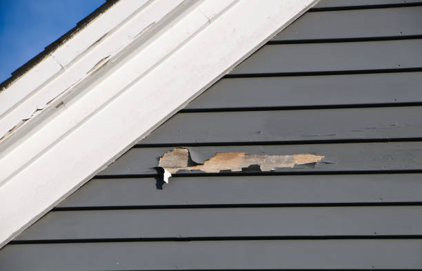 Best Hoarding Cleanup  in Bath, MI